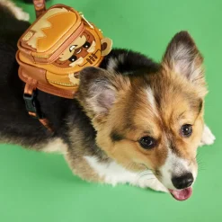Star Wars Pet Accessories< Ewok Cosplay Mini Backpack Dog Harness